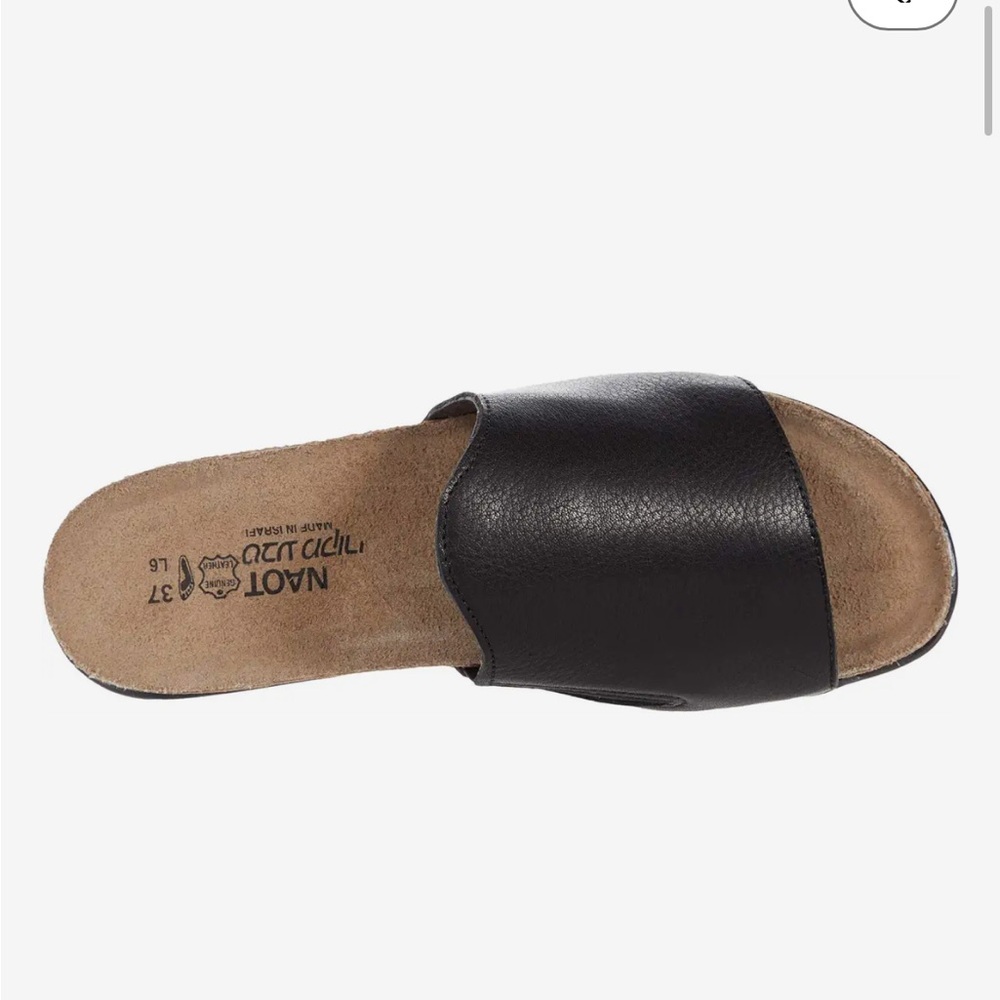 Noat Skylar slide